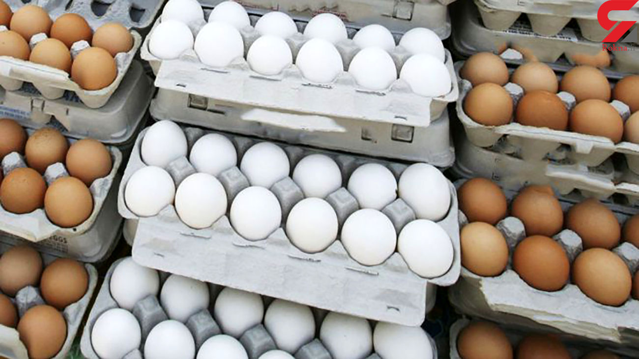 قیمت تخم مرغ در بازار امروز سه شنبه 9 دی ماه 99 قیمت تخم مرغ در بازار امروز سه شنبه 9 دی ماه 99
