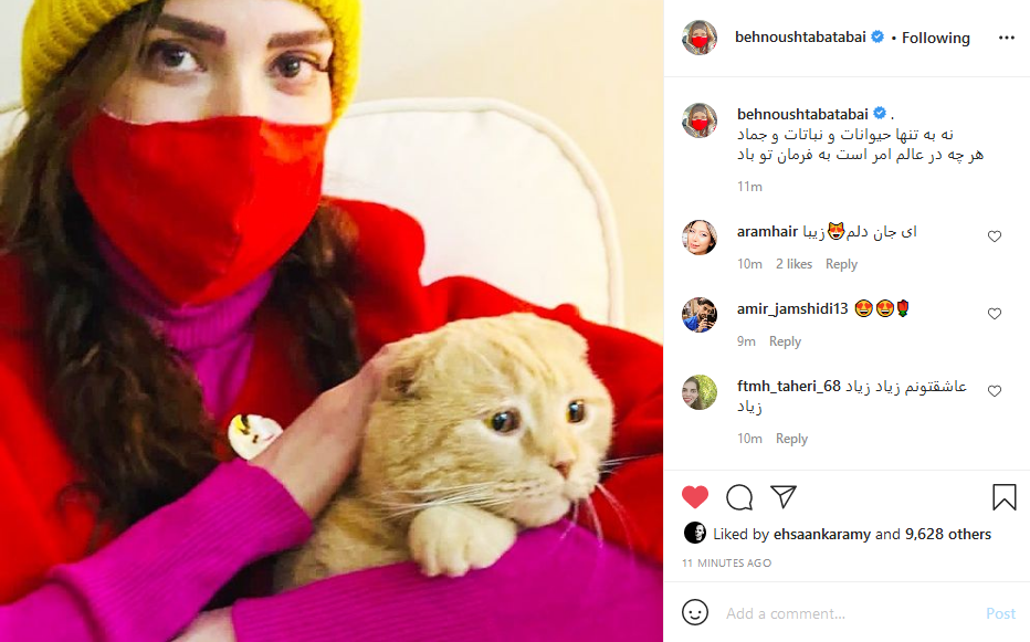 بهنوش طباطبایی و گربه جنجالی اش + عکس بهنوش طباطبایی و گربه جنجالی اش + عکس