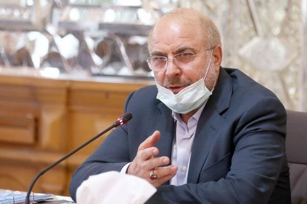 تشکر رییس مجلس از دولت برای غنی سازی 20 درصدی