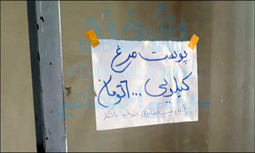 پس از پای مرغ اینبار پوست مرغ محبوب شد پس از پای مرغ اینبار پوست مرغ محبوب شد