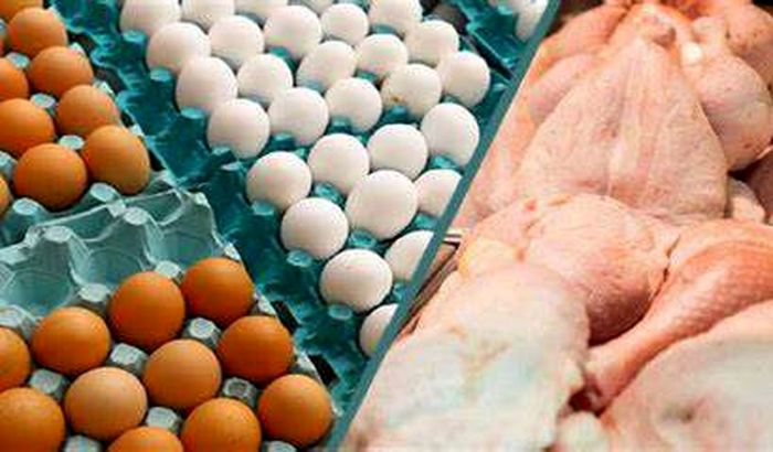 قیمت جدید مرغ و تخم مرغ در بازار (۱۴۰۰/۰۳/۱۸) + جدول