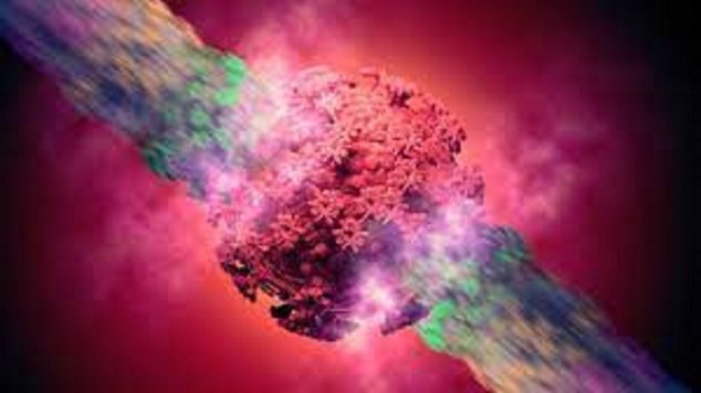 همه چیز درباره ویروس دلتا کرونا