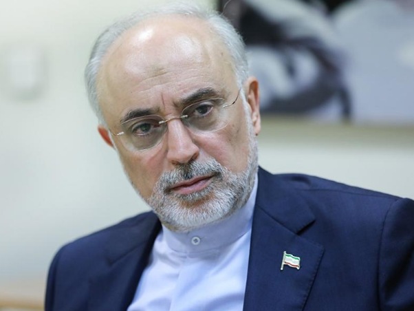 علی اکبر صالحی: در دوران ریاست‌جمهوری روحانی از منجنیق فلک سنگ فتنه می‌بارید