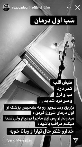 رضا صادقی 