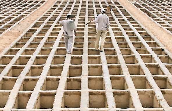 خرید «قبر» در بهشت زهرا (س) تهران چقدر تمام میشود؟ خرید «قبر» در بهشت زهرا (س) تهران چقدر تمام میشود؟