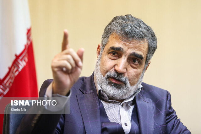 کمالوندی: اقدامات دیگری در نظر است/ آژانس رویکرد خود را تغییر دهد