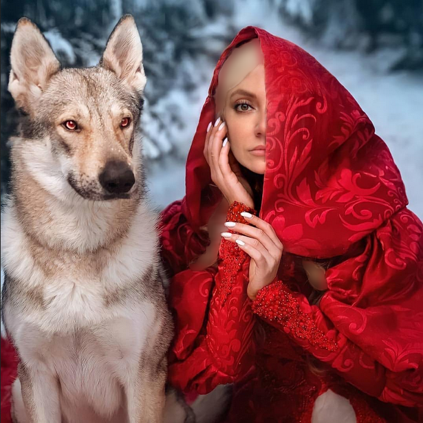 مهناز افشار در کنار گرگ وحشی/عکس مهناز افشار در کنار گرگ وحشی/عکس