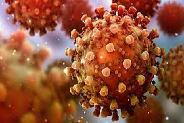 XBB۵۱ جدیدترین سویه کووید۱۹ / احتمال افزایش مجدد آمار مبتلایان XBB۵۱ جدیدترین سویه کووید۱۹ / احتمال افزایش مجدد آمار مبتلایان