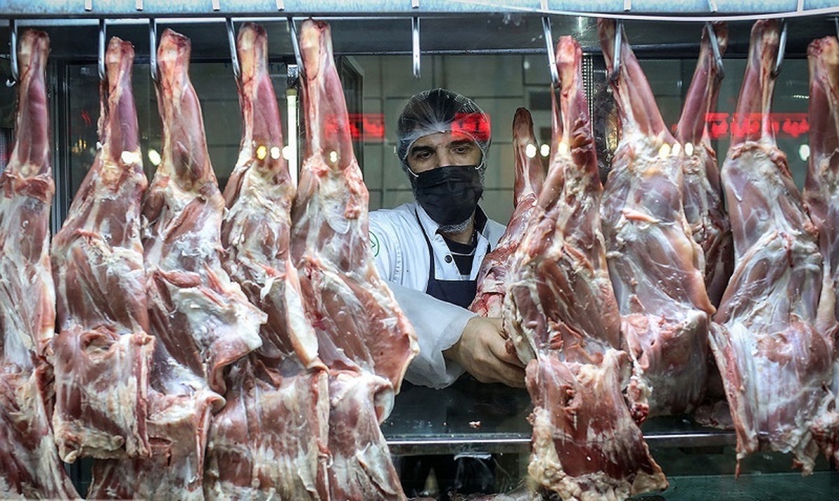 چرا دولت بر واردات گوشت قرمز منجمد اصرار دارد؟
