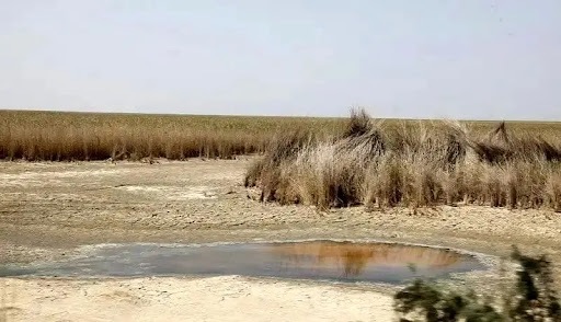 ۲ تالاب دیگر هم خشک شدند / بیکاری، فقر و مهاجرت، نتیجه بی‌توجهی به محیط زیست