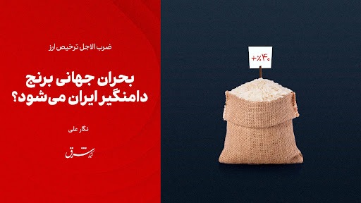 بحران جهانی برنج دامنگیر ایران می‌شود؟