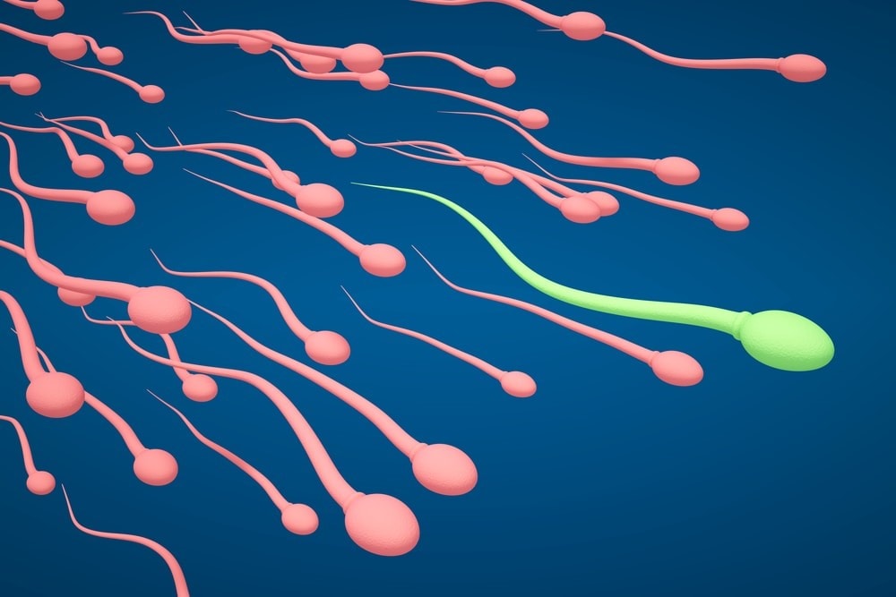 enmale-fertility-testingesprueba-de-fertilidad-masculinazh男性生育检查