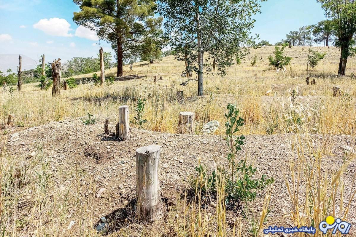 16 هکتار مساحت چیتگر خشک شد 16 هکتار مساحت چیتگر خشک شد