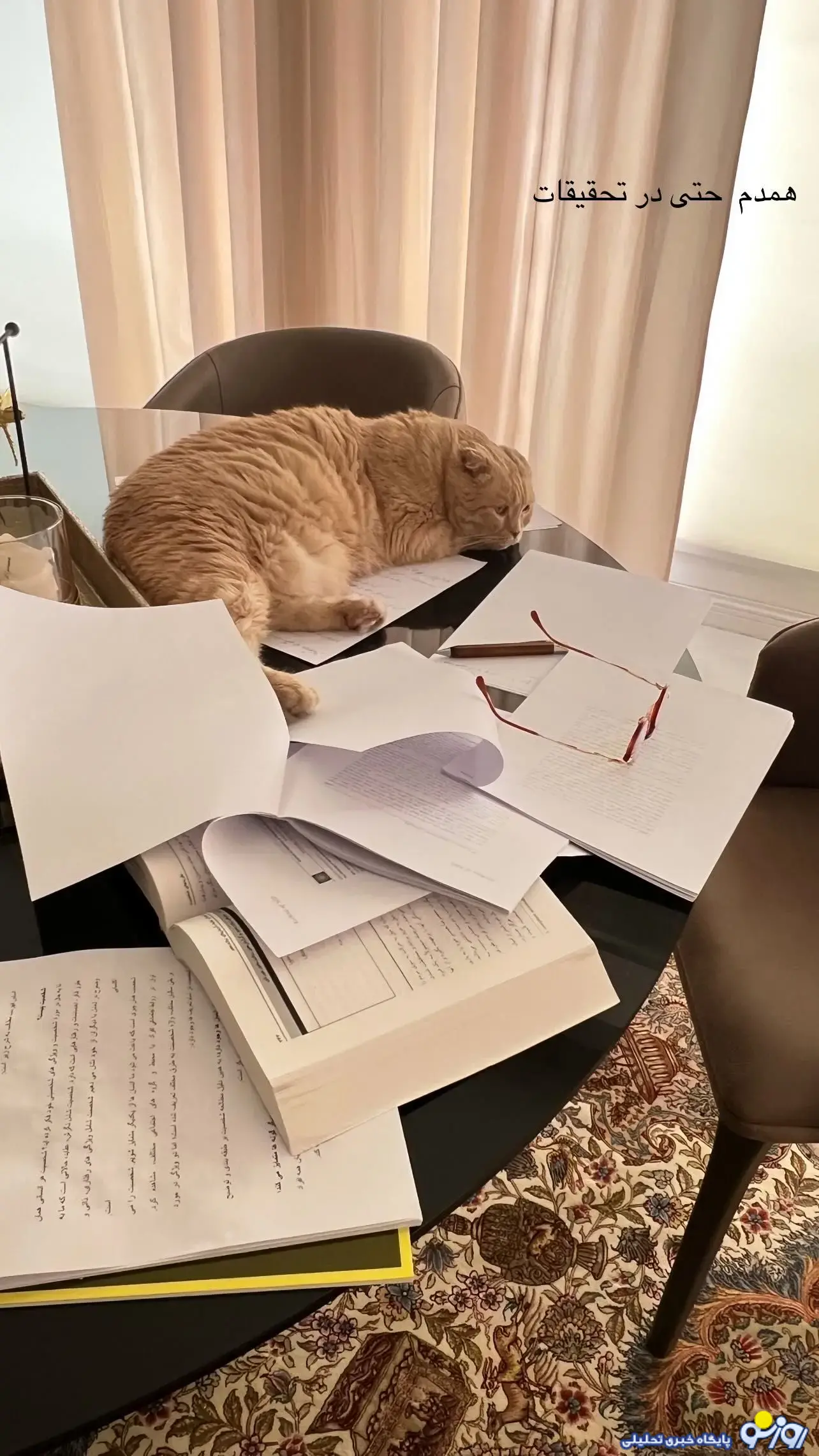 استوری بهنوش طباطبایی به همراه همدمش! استوری بهنوش طباطبایی به همراه همدمش!