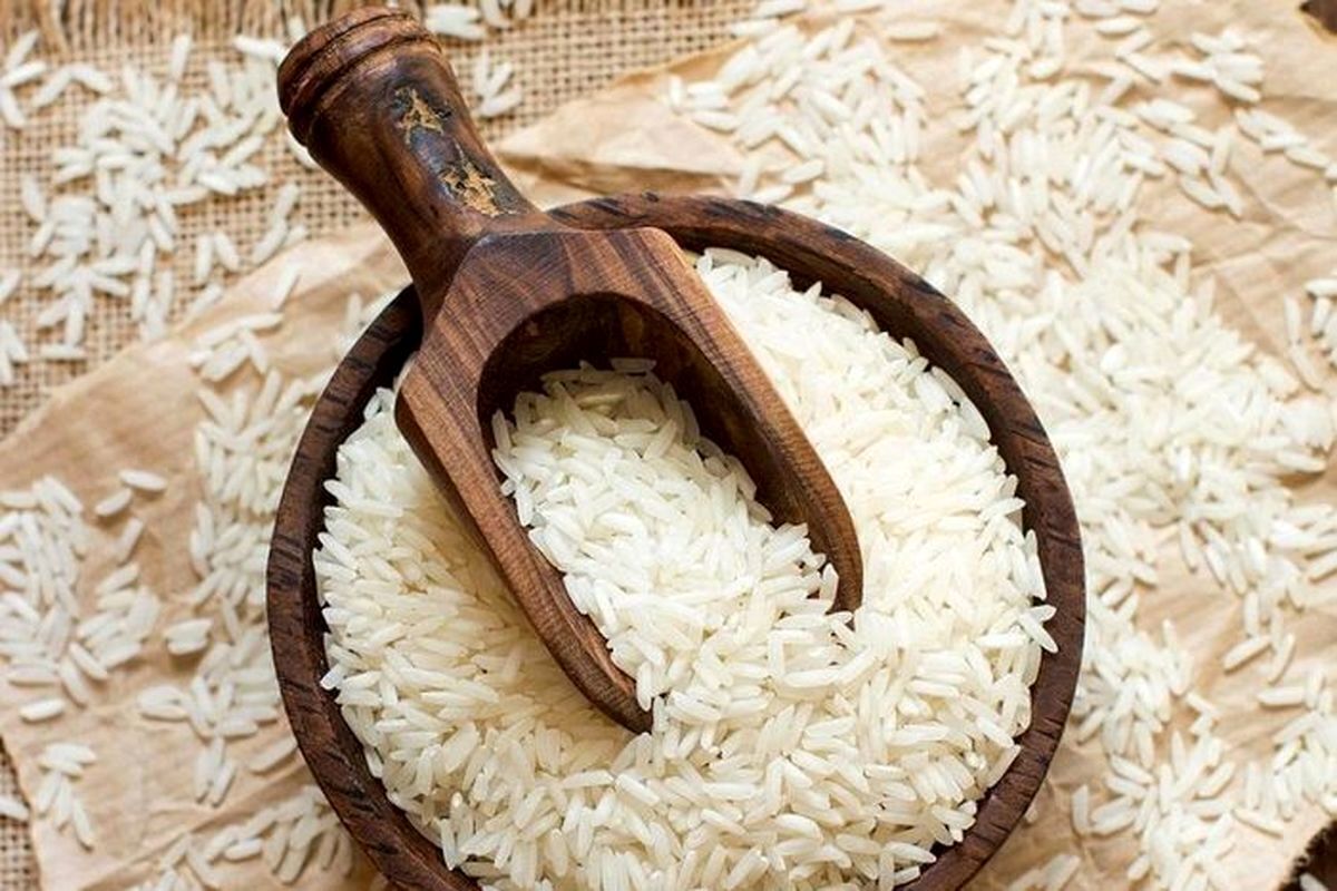 فوری/ افزایش قیمت برنج در راه است