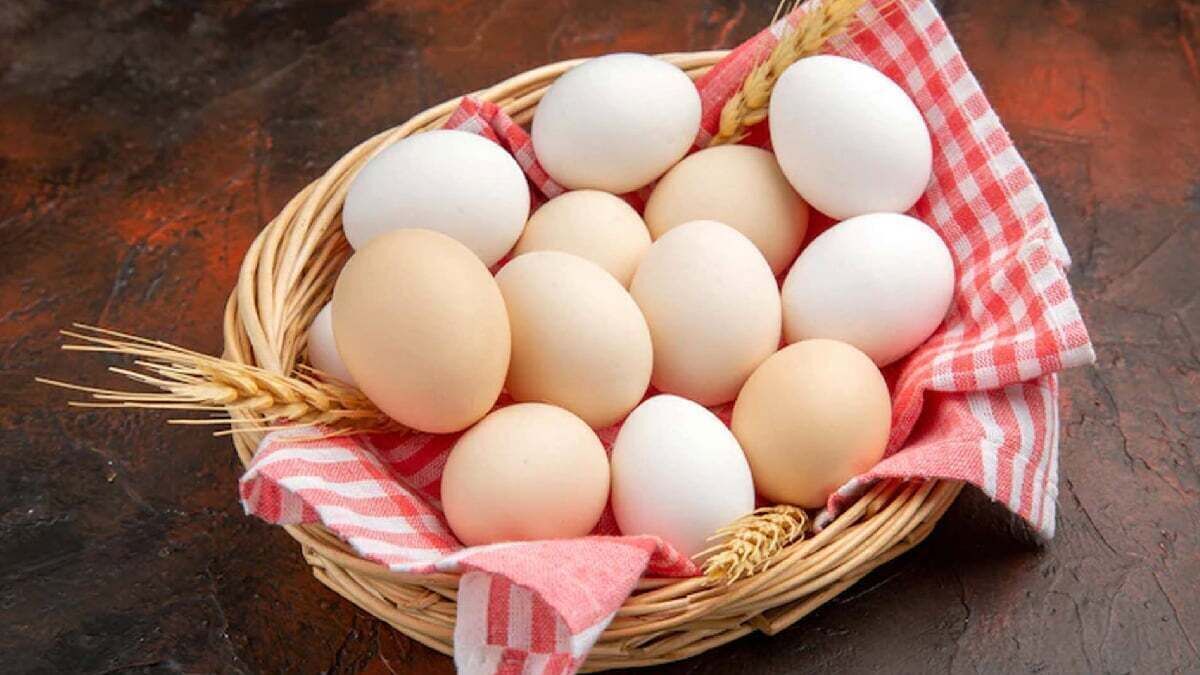 قیمت تخم‌مرغ امروز ۳۰ اردیبهشت ۱۴۰۴/ قیمت تخم‌مرغ گرید B چند شد؟  + جدول