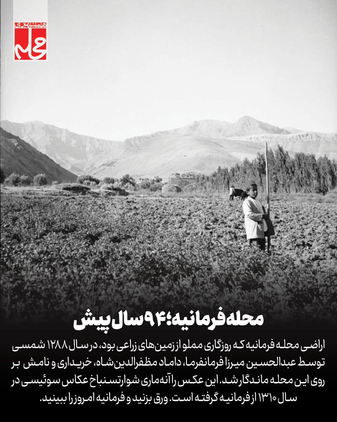 photo_2025-04-29_12-16-45