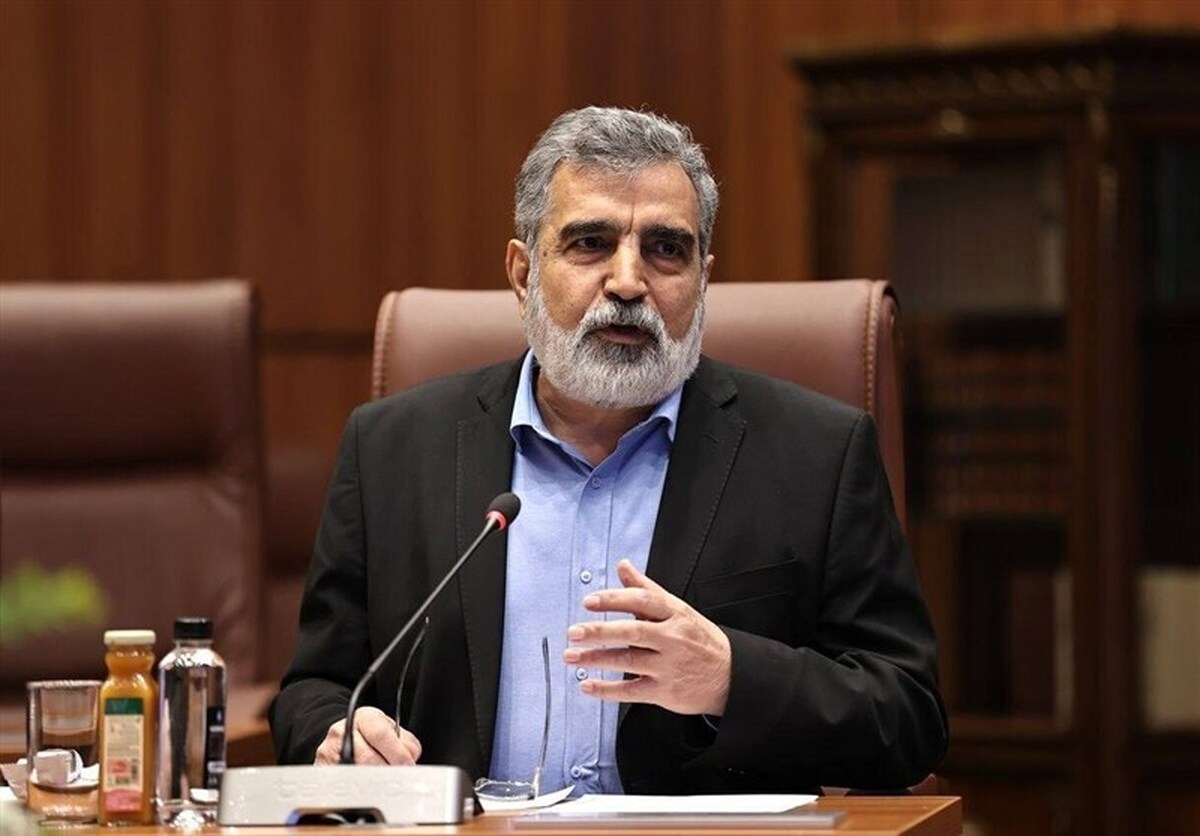 کمالوندی: ماجرای تورقوزآباد و ورامین خرابکاری بود/ اکنون 120 بازرس برای نظارت بر برنامه هستهای ایران حضور دارند کمالوندی: ماجرای تورقوزآباد و ورامین خرابکاری بود/ اکنون 120 بازرس برای نظارت بر برنامه هستهای ایران حضور دارند