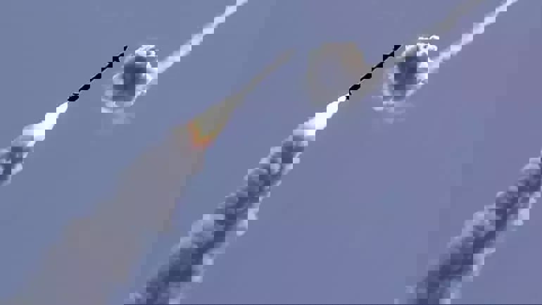 jltfvymn1
