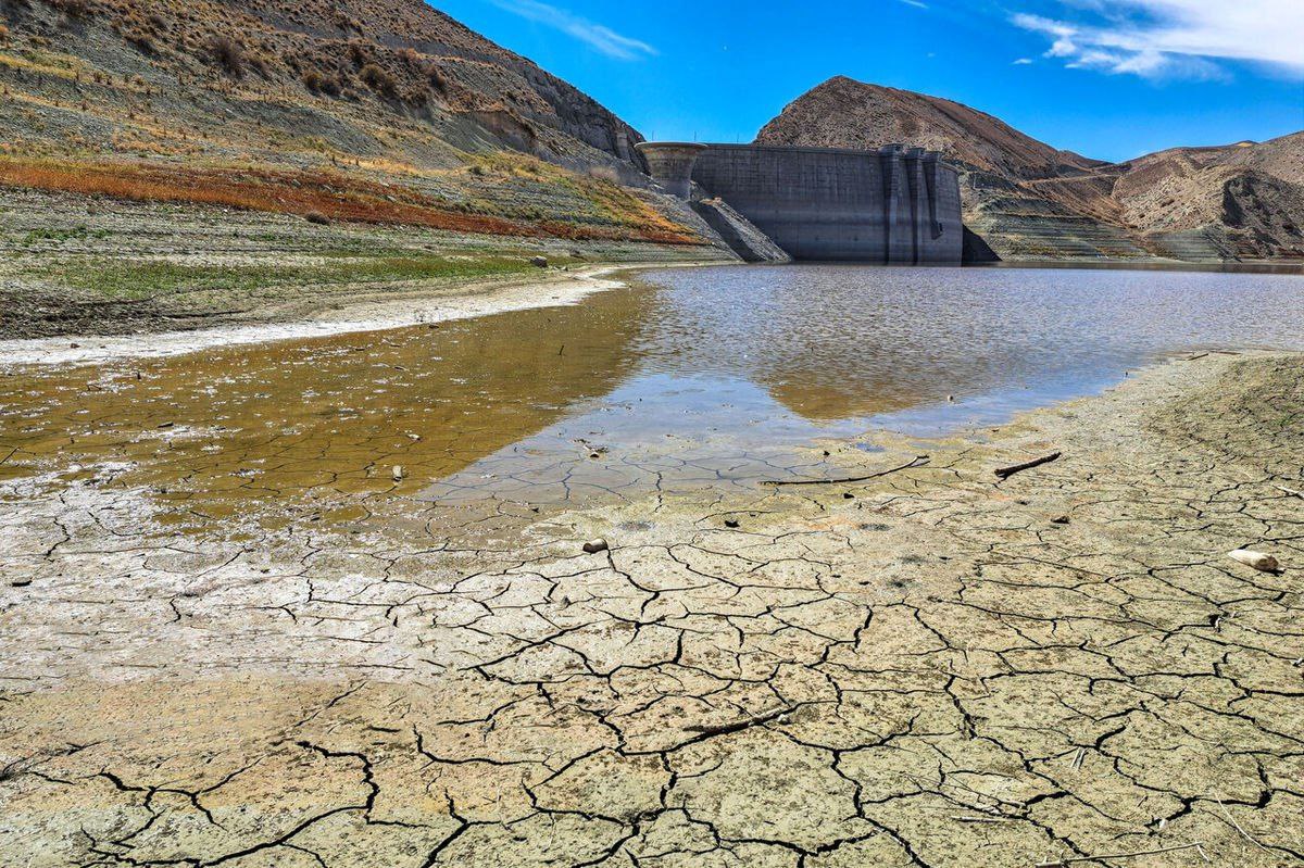 photo_2025-07-22_21-53-29