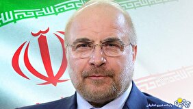 قالیباف: ایرانیان خارج از کشور نباید از خدمات و سرویسی که به ایرانی‌ها داده می‌شود، محروم باشند