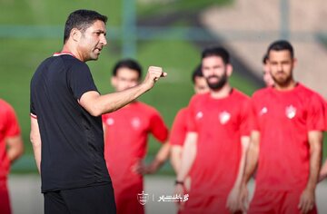 واکنش هاشمیان به حواشی پرسپولیس؛ تمام بازیکنان مورد حمایت من هستند!