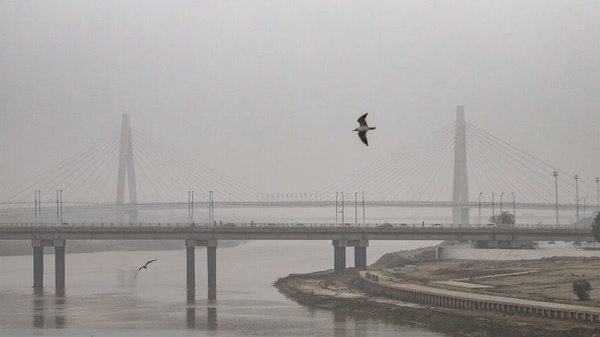 f7acfe19a0694dd29e447a74944f7955